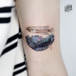 tatuaje_brazo_peces_microrealism_logia_barcelona_mumi_ink 